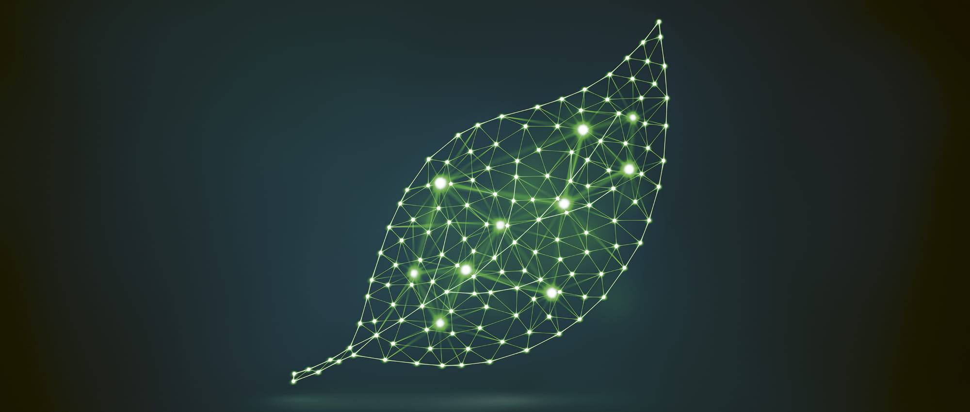 Illustration of a leaf made out of green neon lines. Copyright: iStock/synthetick