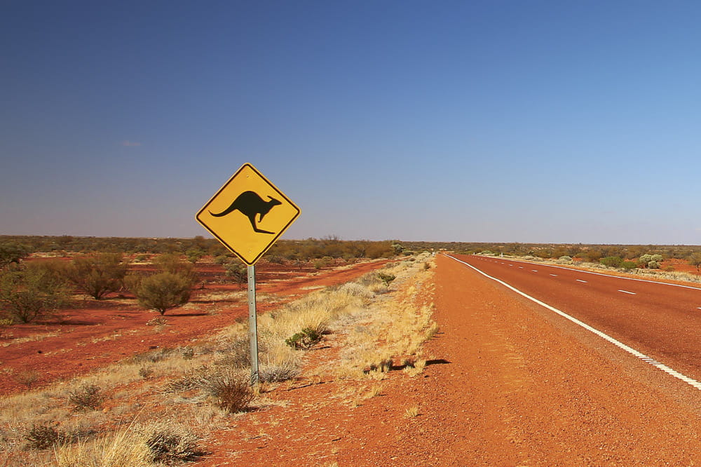 Road in the australian outback and a yellow sign with a black kangaroo. Copyright: iStock/Totajla