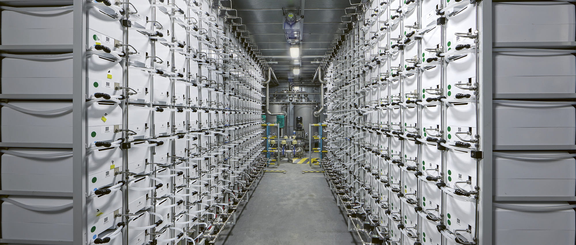 A hallway between containers. 