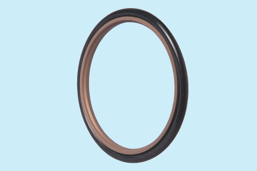 Freudenberg PTFE OMEGATSeal