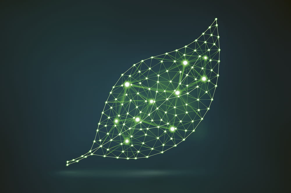 Illustration eines Blatte aus grünen neon Linien. Copyright: iStock/synthetick
