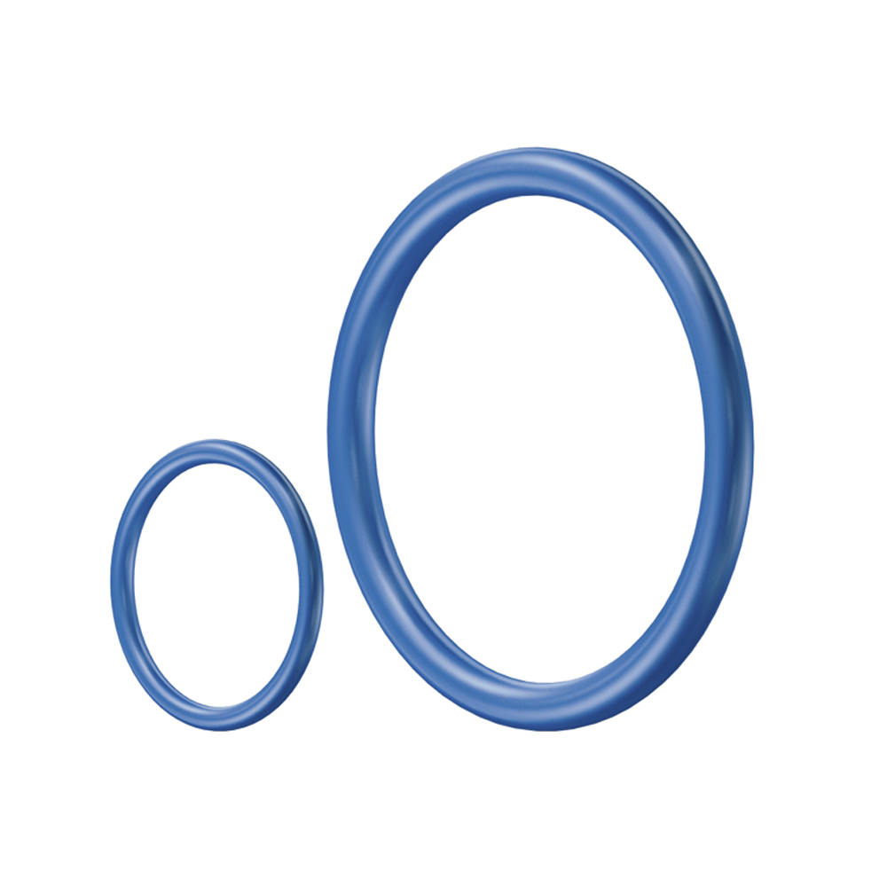 A larger and a smaller blue O-ring next to each other.